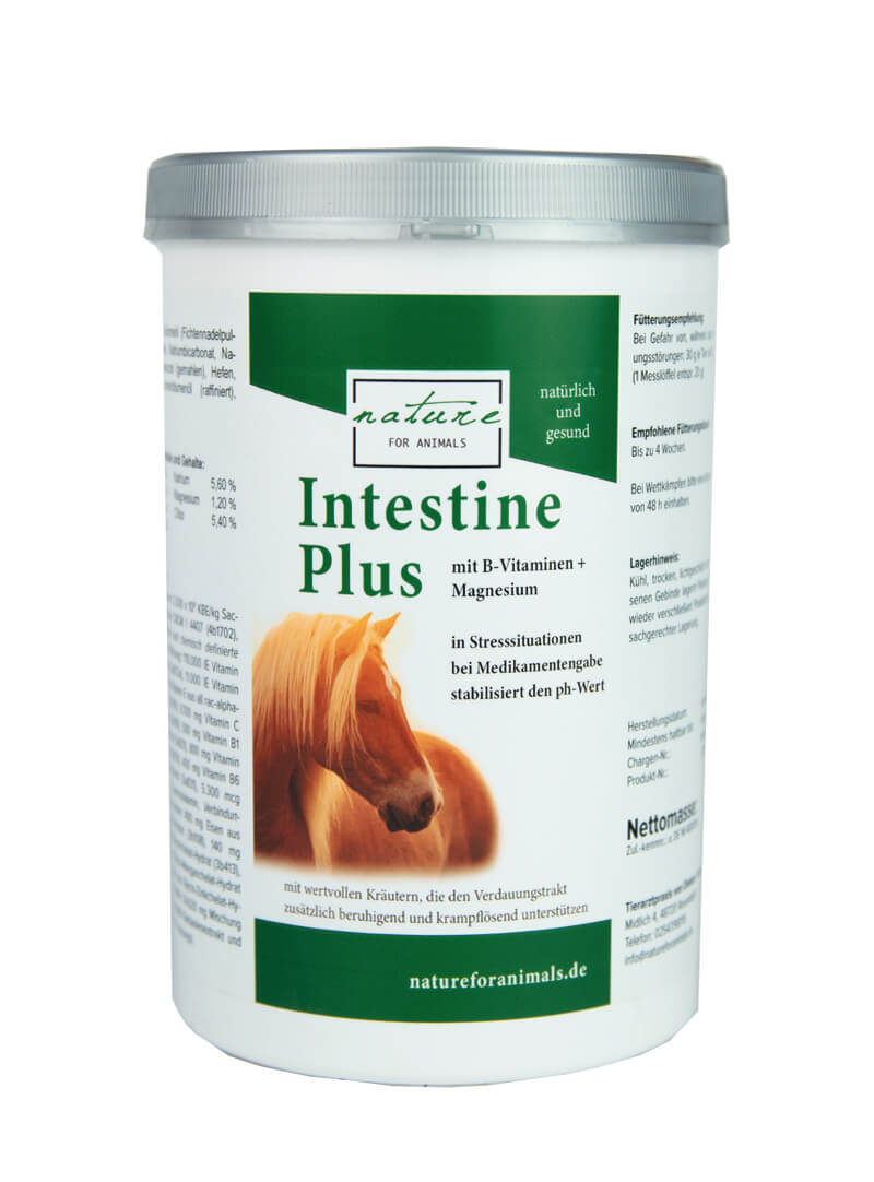 Intestine_plus