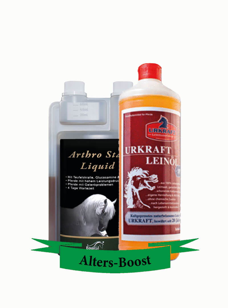 arthro star + leinöl