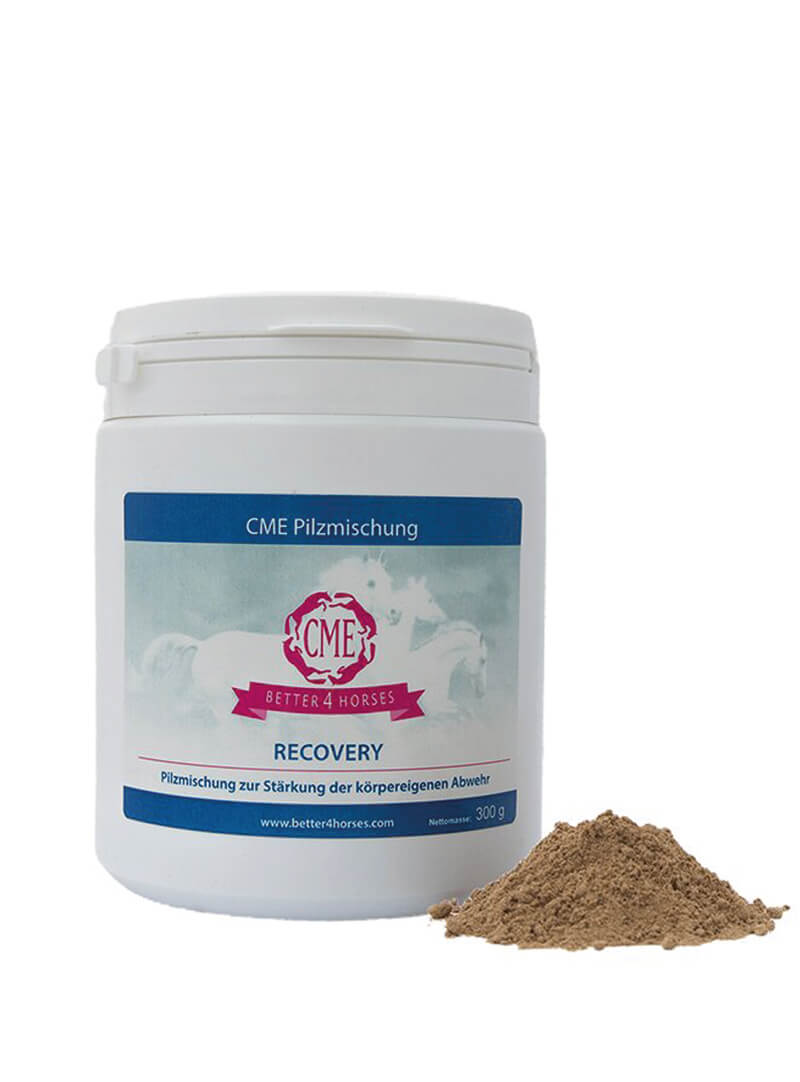 cme_recovery_pulver