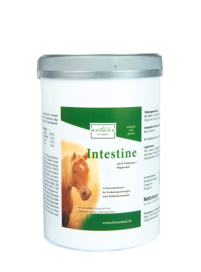 intestine 600g Dose