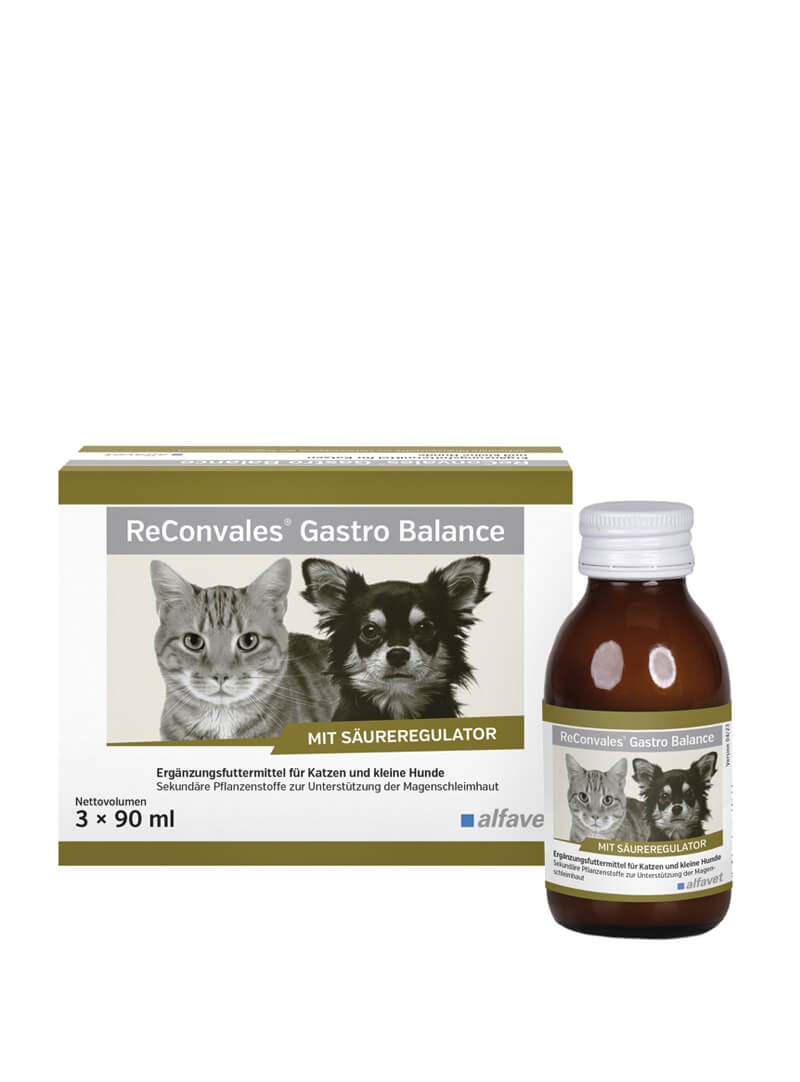 reconvales-gastro-balance