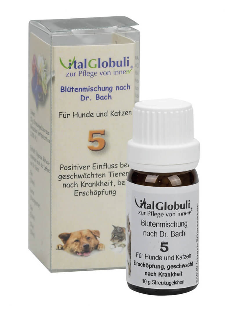 Supra Cell Nr. 5 Erschöpfung - Globuli