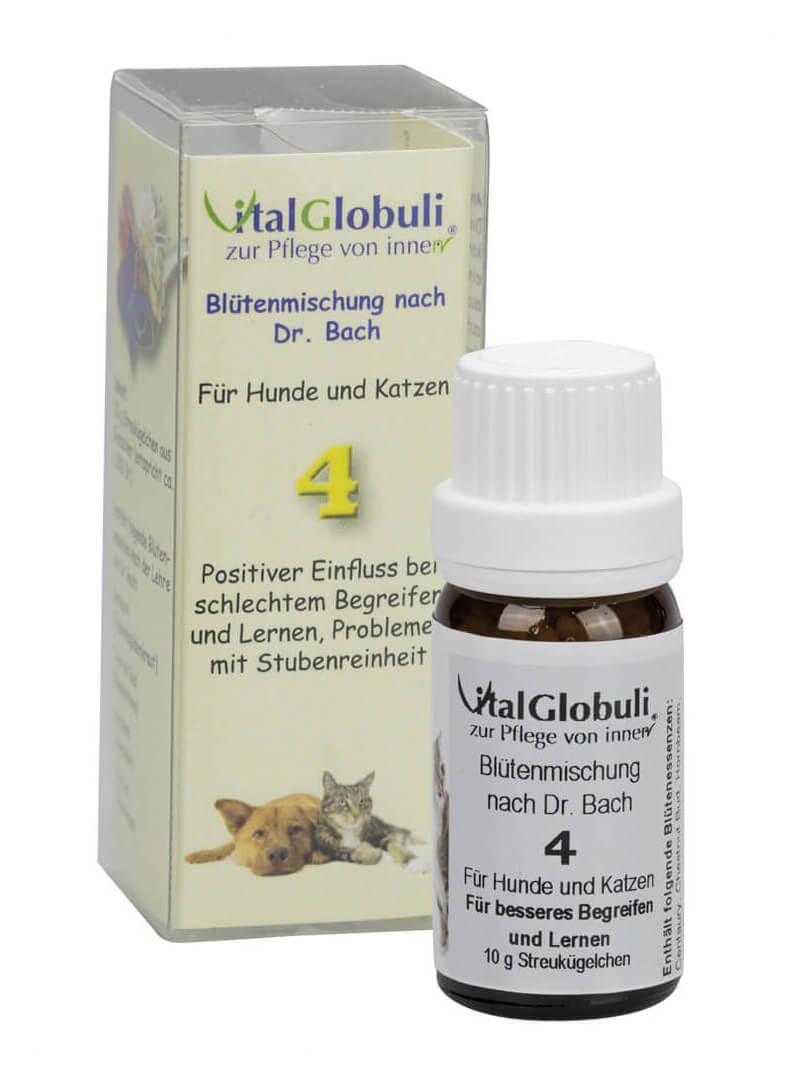 Supra Cell Nr. 4 Lernbereitschaft - Globuli
