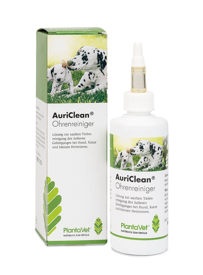 AuriClean