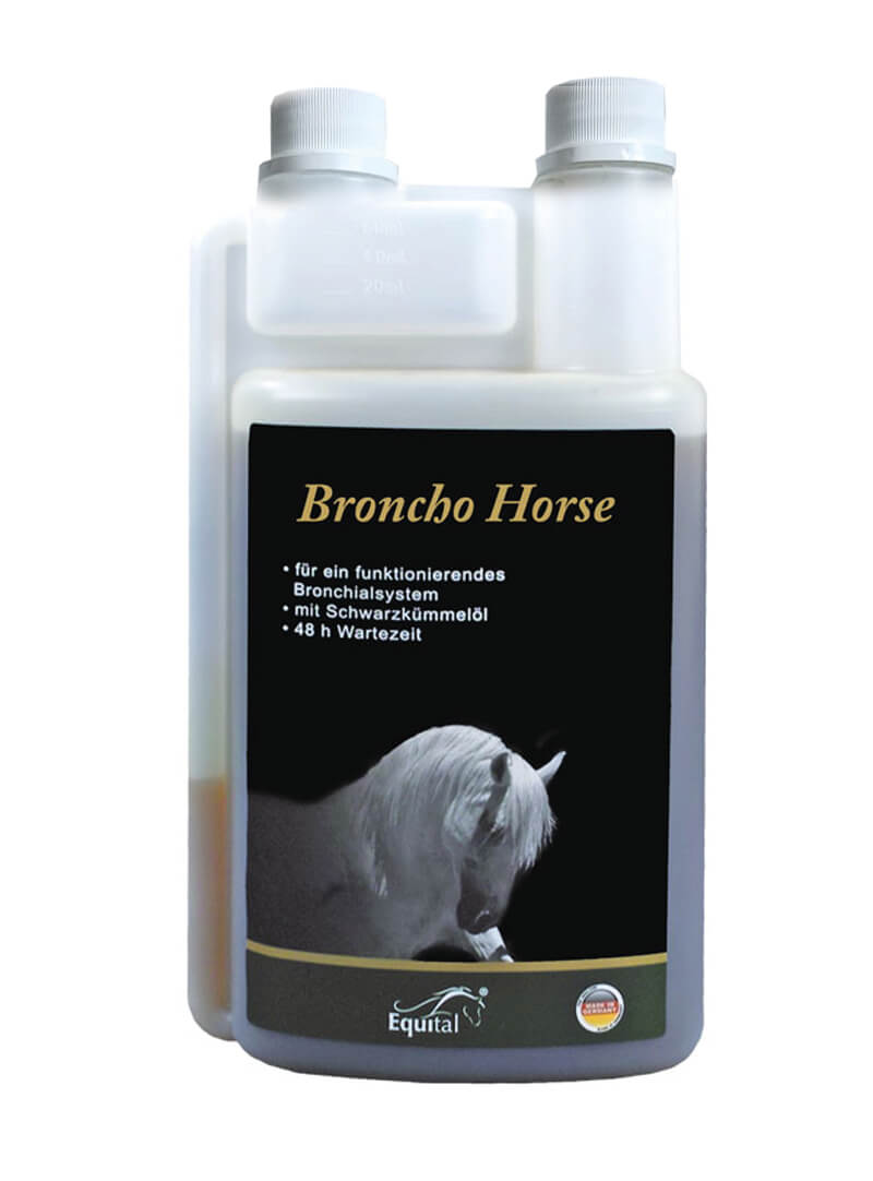 Broncho Horse Atemwege Pferd