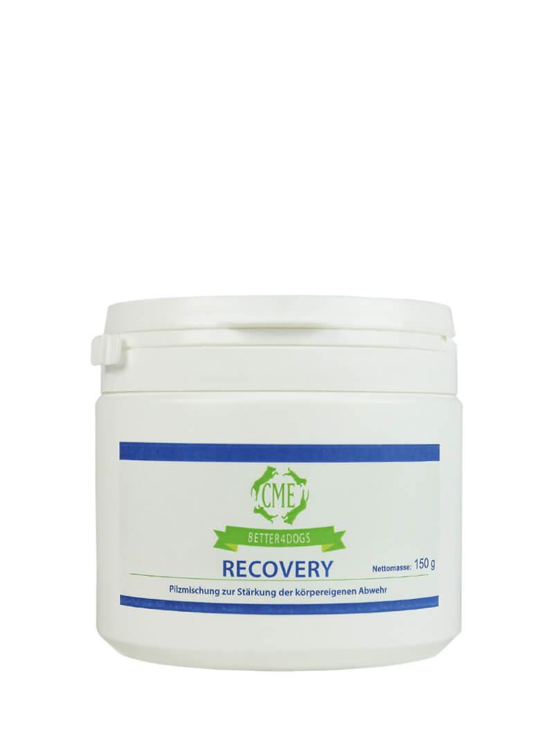 cme_recovery_dog