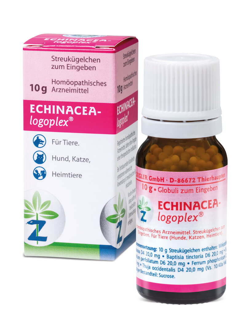 ECHINACEA-logoplex®