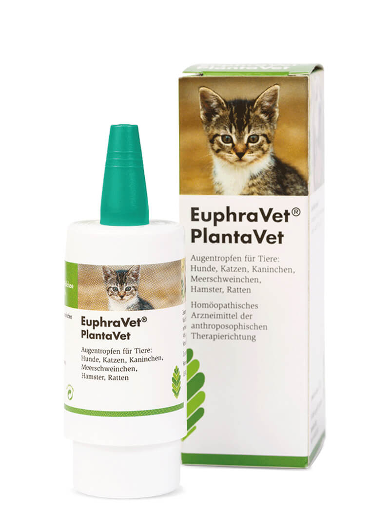 euphravet-augentropfen