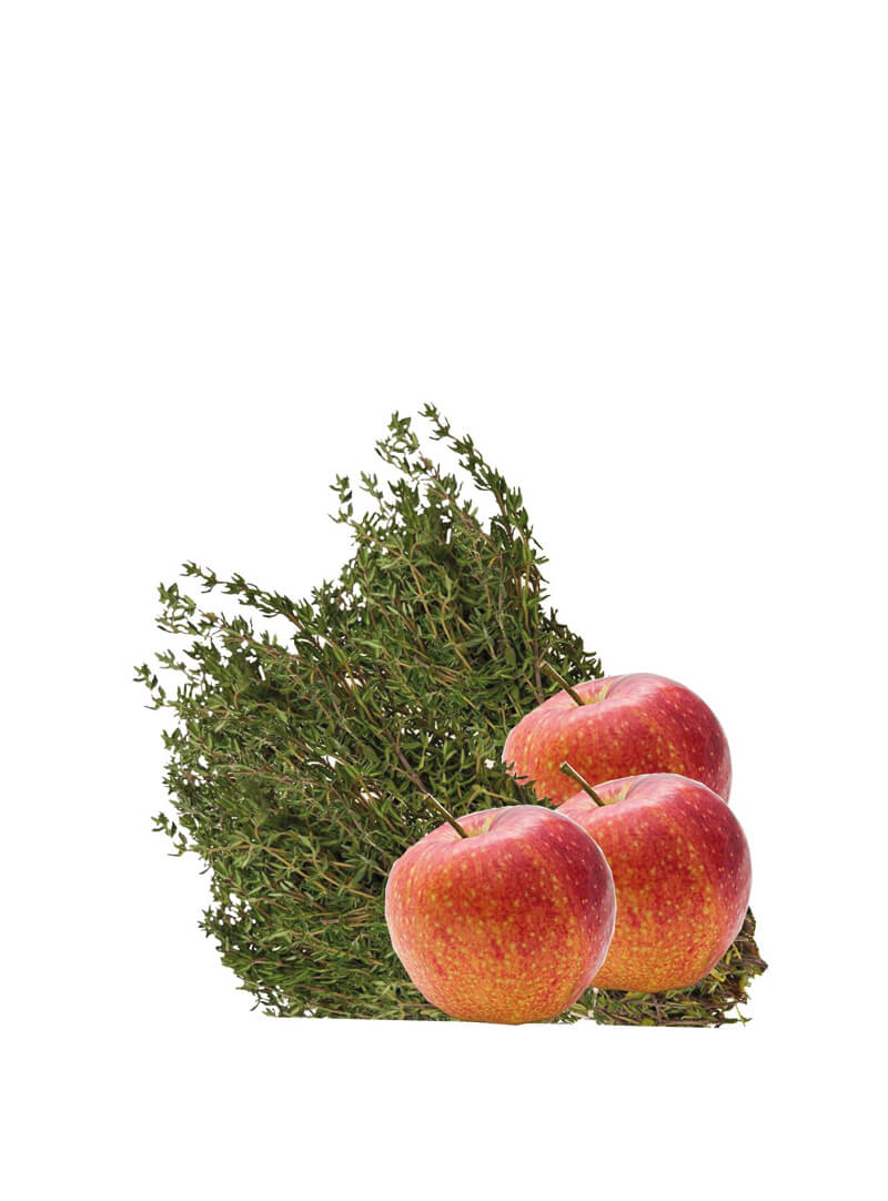 leckerchen-apfel-thymian-pellets