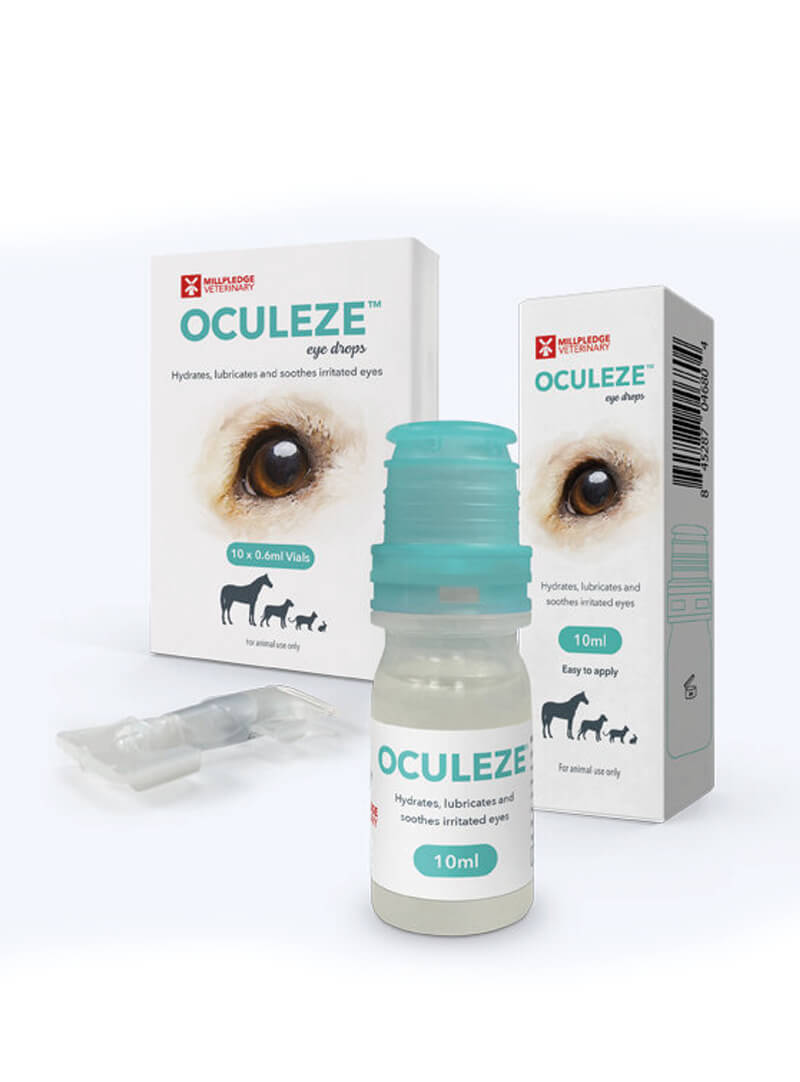 Oculeze™ Augentropfen