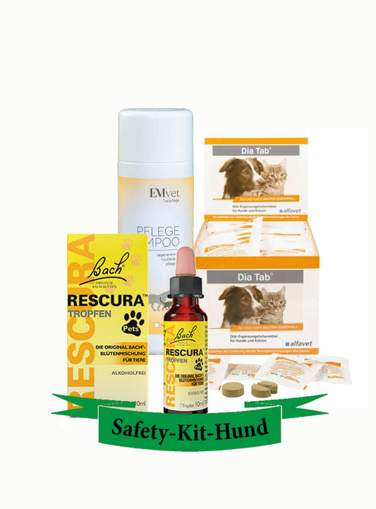 Safety-Kit Hund