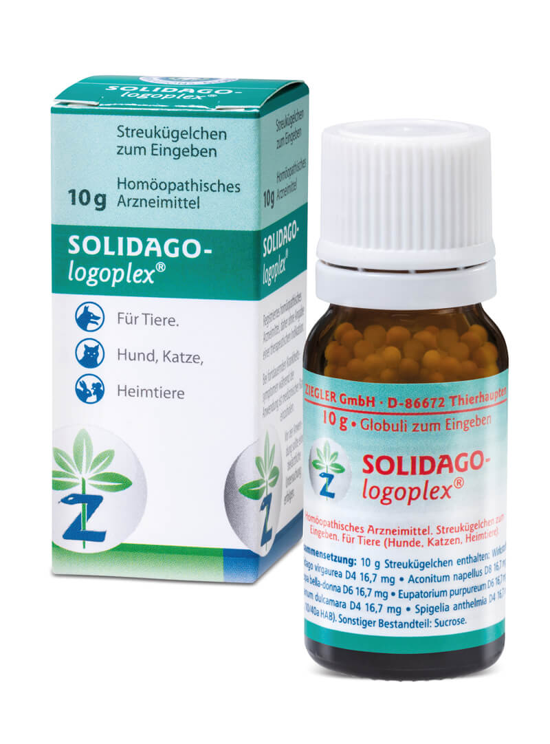 SOLIDAGO-logoplex®