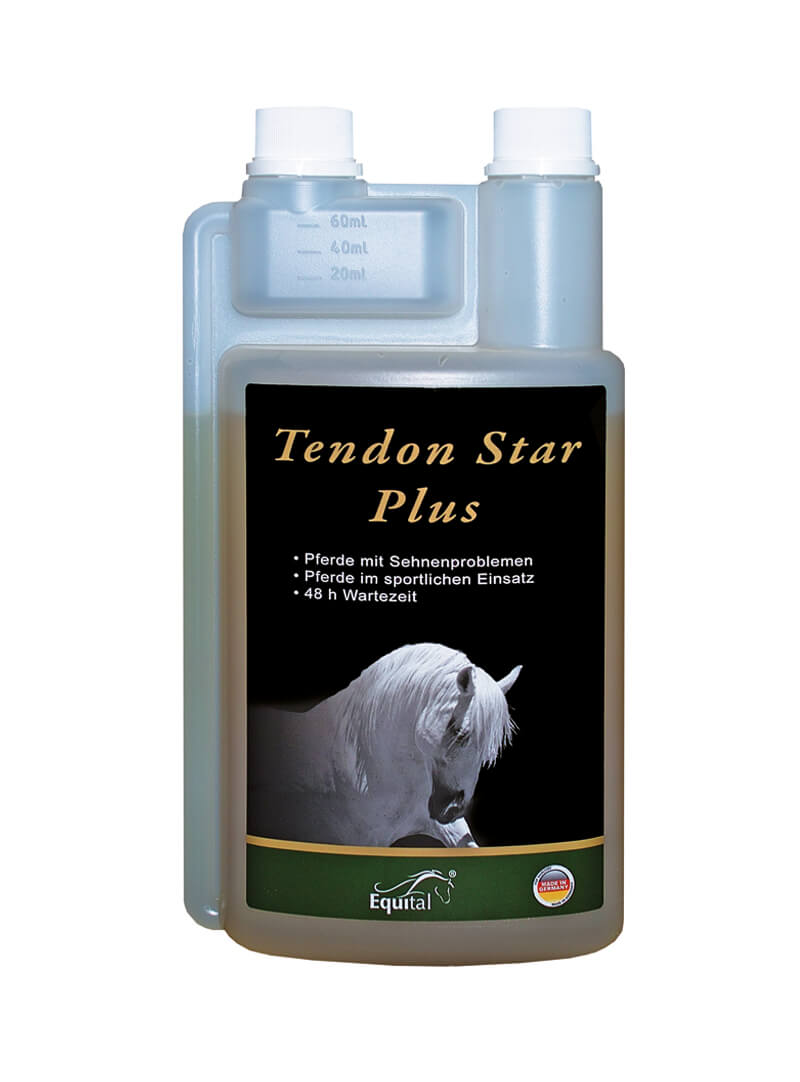 Equital Tendon Star - Bewegungsapparat unterstützen