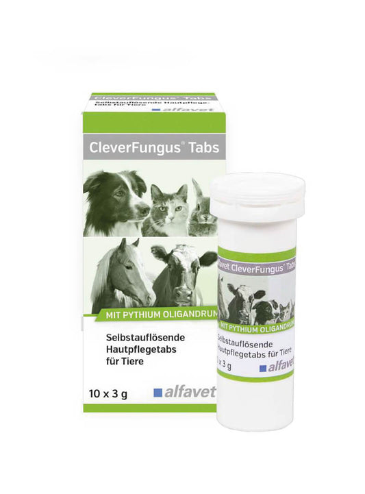 CleverFungus Tabs