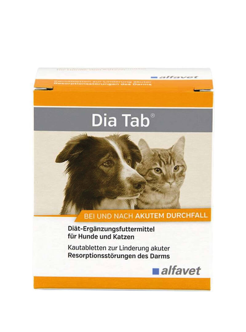 diatab Kautabletten packung