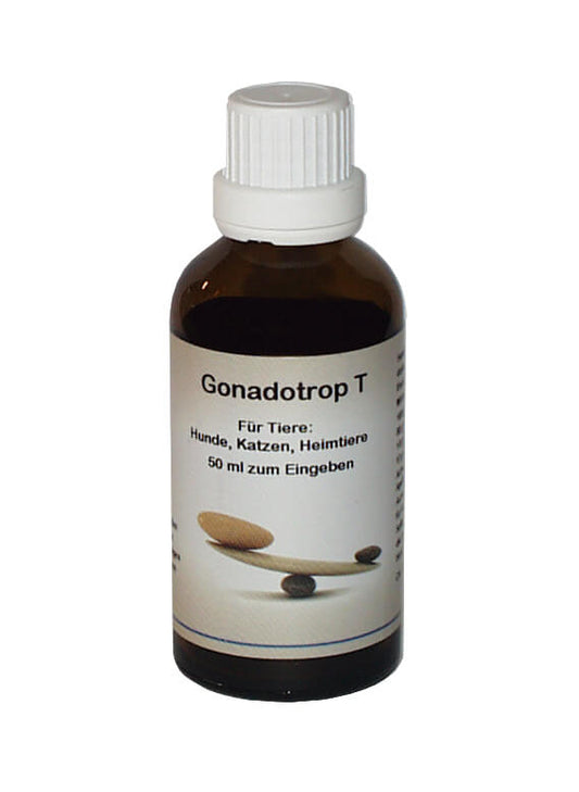 Supra-Cell Gonadotrop